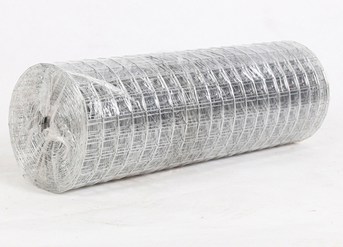 Stainless Steel Welded Wire Mesh圖片4