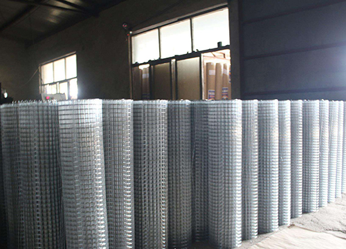 Galvanized welded wire mesh圖片3
